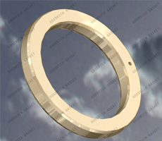 Ring Type Joint Gasket (RTJ Gasket)